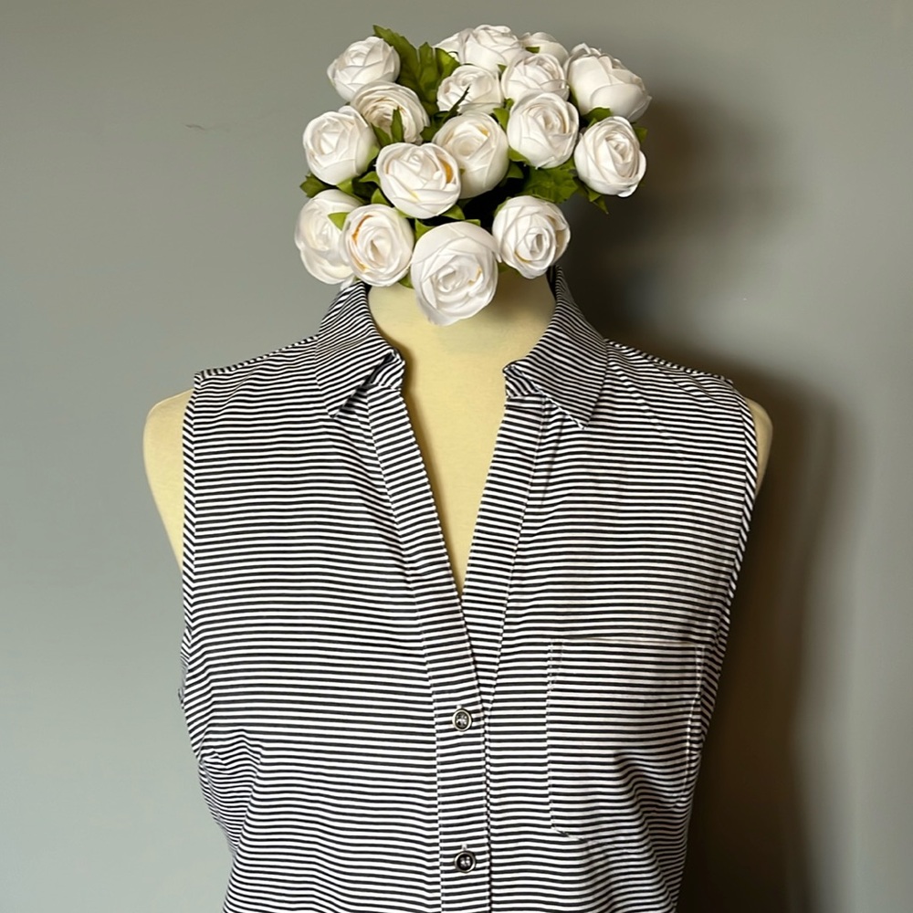 The Limited Ashton dress.  Size Medium.  Pre owned.